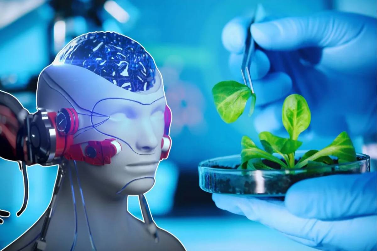 Inteligência artificial e biotecnologia representadas por uma cabeça robótica conectada a cabos ao lado de uma planta sendo manipulada por cientista em laboratório.