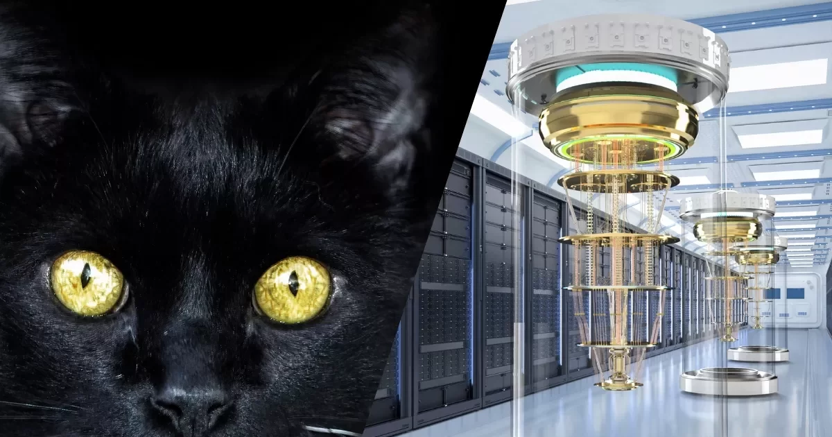 À esquerda, um gato preto; à direita, um supercomputador quântico, ilustrando a relação entre o Gato de Schrödinger e a computação quântica