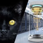 À esquerda, um gato preto; à direita, um supercomputador quântico, ilustrando a relação entre o Gato de Schrödinger e a computação quântica