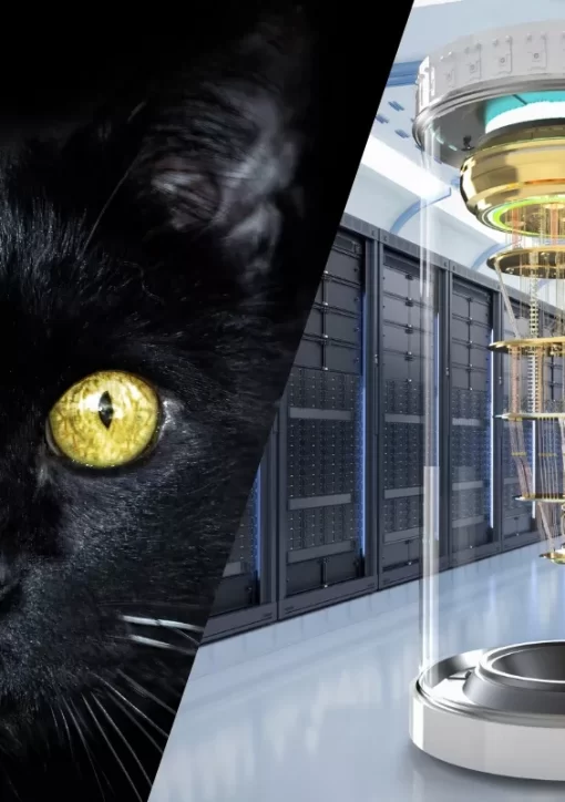 À esquerda, um gato preto; à direita, um supercomputador quântico, ilustrando a relação entre o Gato de Schrödinger e a computação quântica