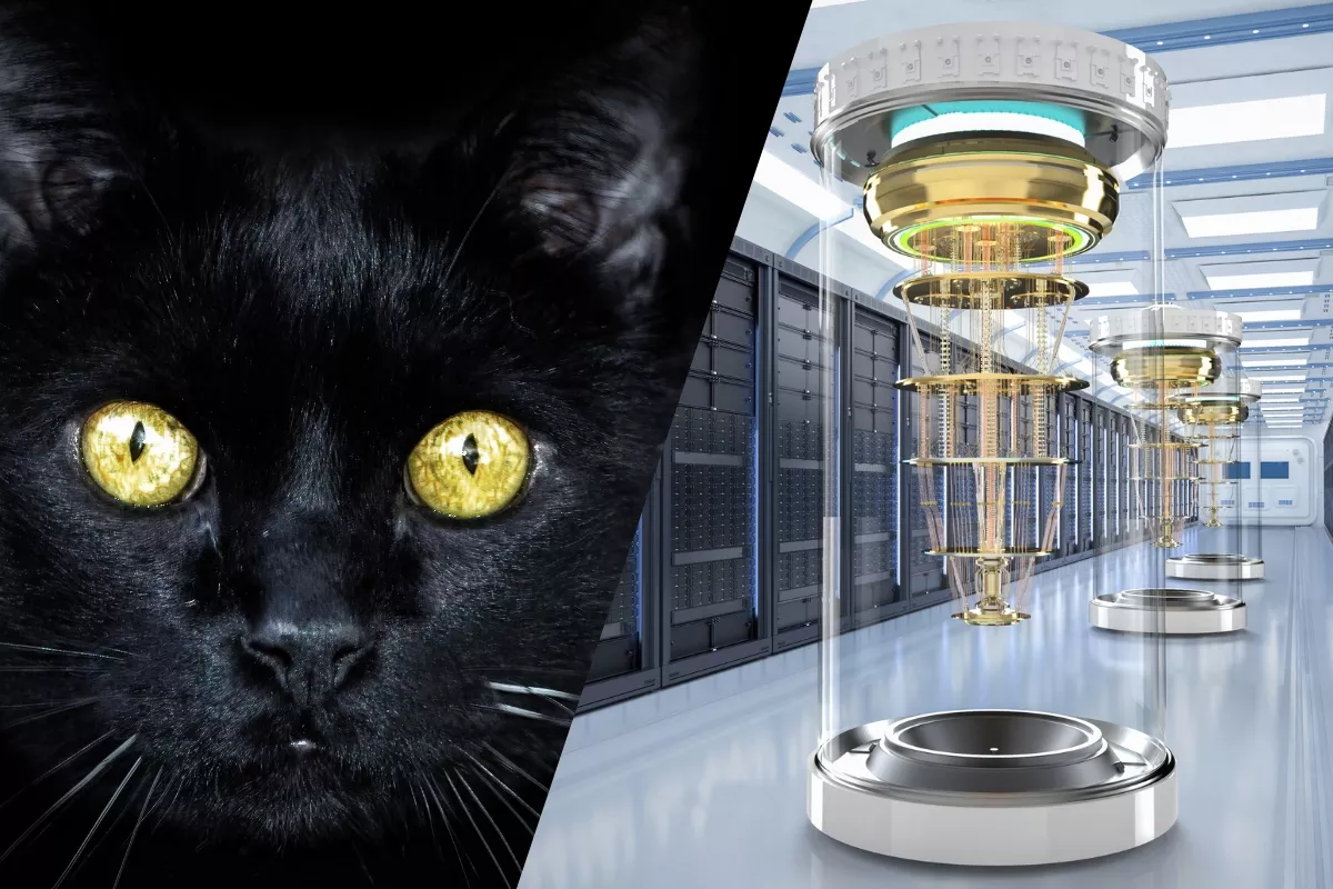 À esquerda, um gato preto; à direita, um supercomputador quântico, ilustrando a relação entre o Gato de Schrödinger e a computação quântica