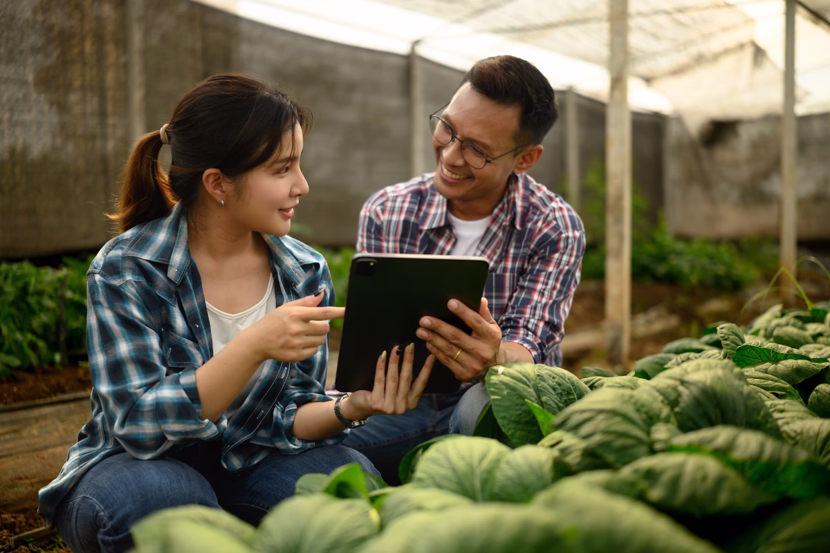 Dois produtores rurais analisam dados em um tablet dentro de estufa de hortaliças, aplicando agricultura de precisão no monitoramento da lavoura