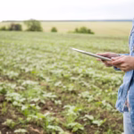 Produtora rural segurando tablet em campo agrícola, usando tecnologia e dados para gestão no agronegócio